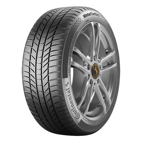 Continental 215/65 R17 99H  Wintercontact Ts 870 P Fr